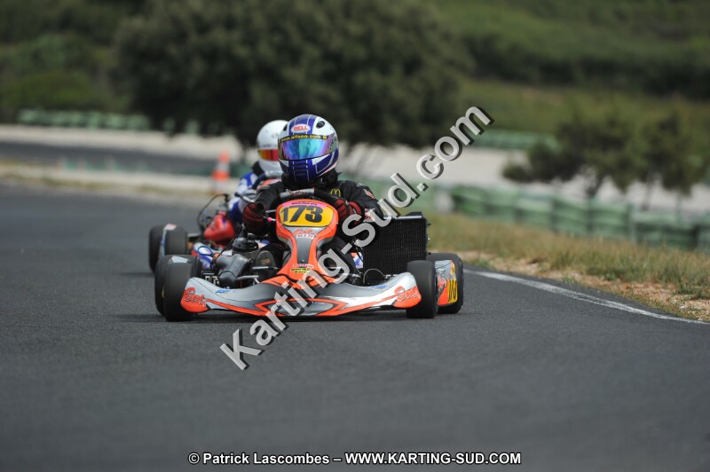 DSC (3485).JPG